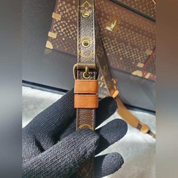 Louis Vuitton Monogram Amazon Crossbody bag - Picture 7 of 16